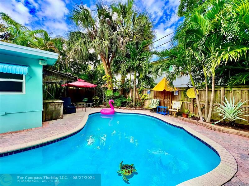 a view of a swimming pool with lawn chairs under an umbrella