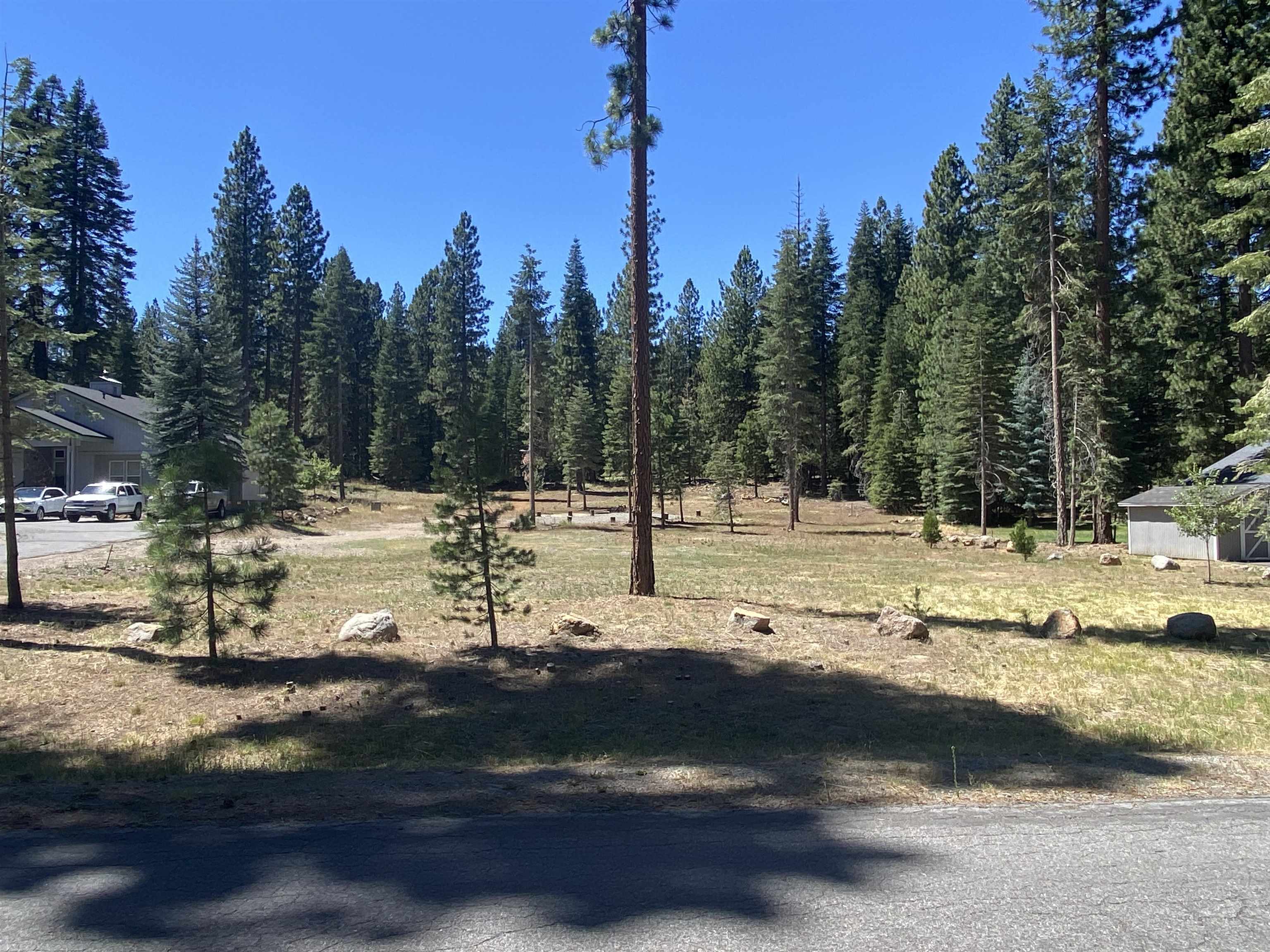 a view of a yard with trees