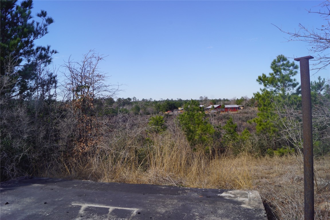 a view of a dry yard with trees