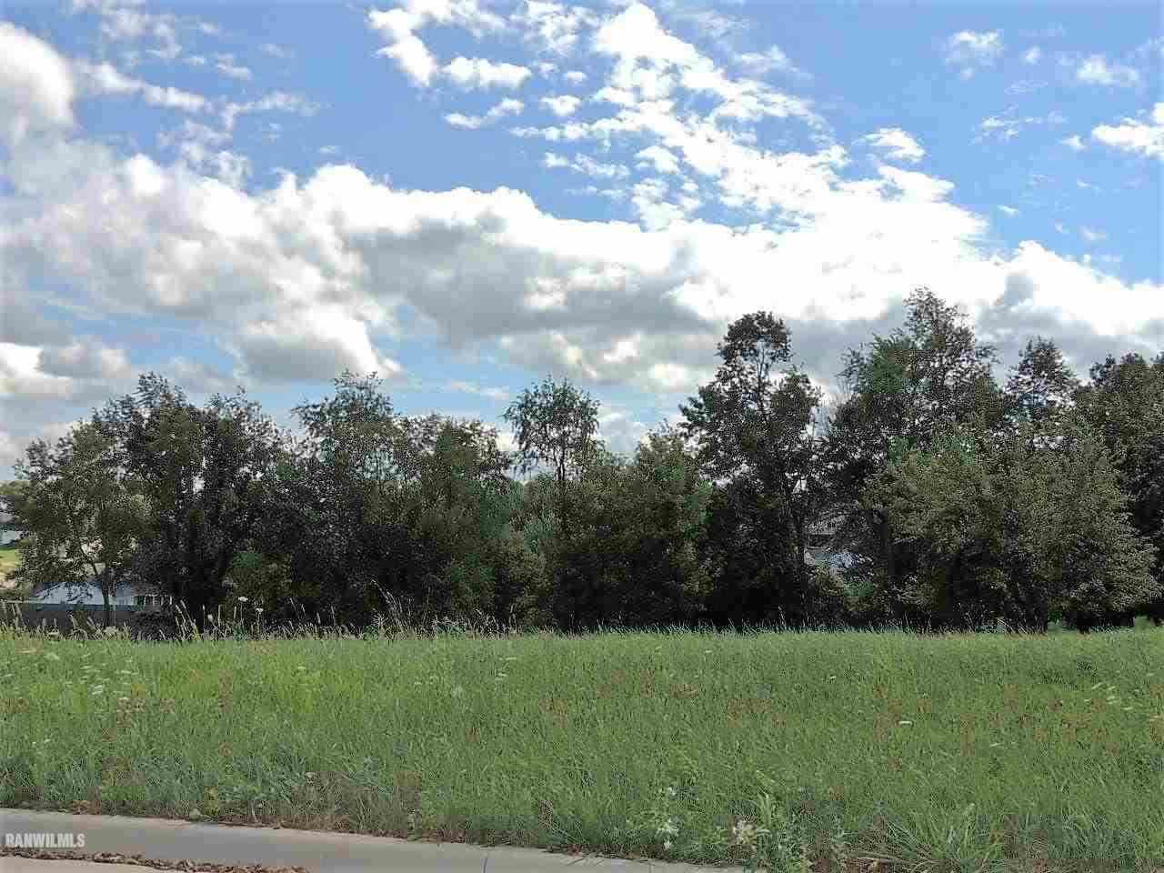 a view of grassy field with trees