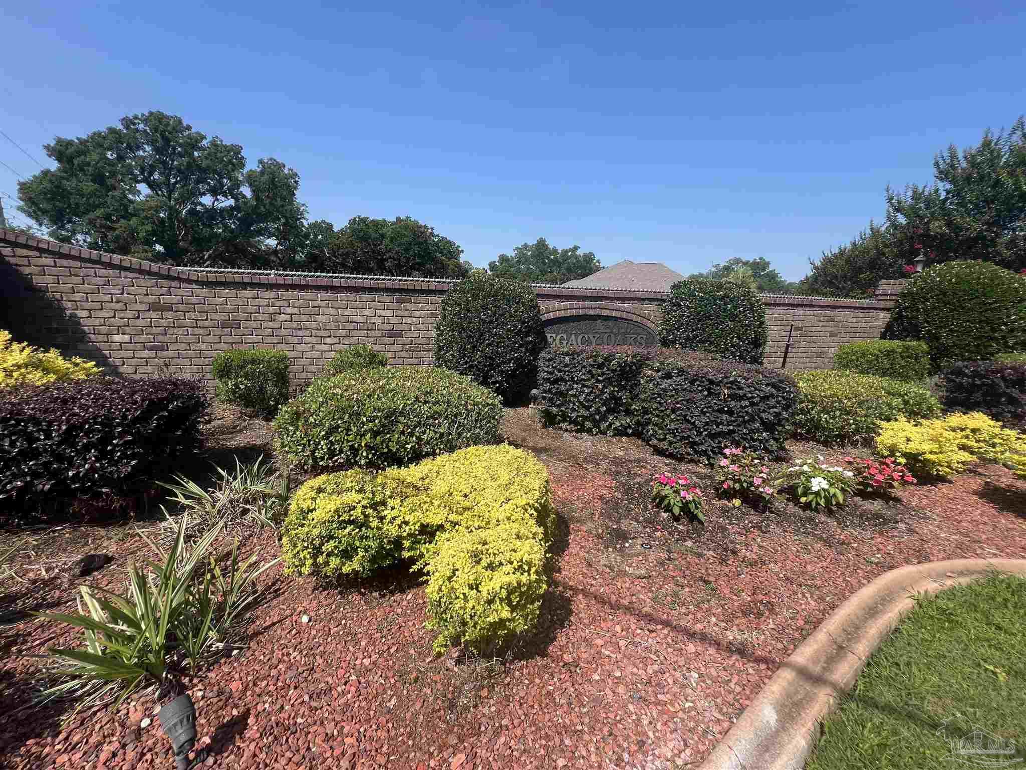 a view of a garden with plants