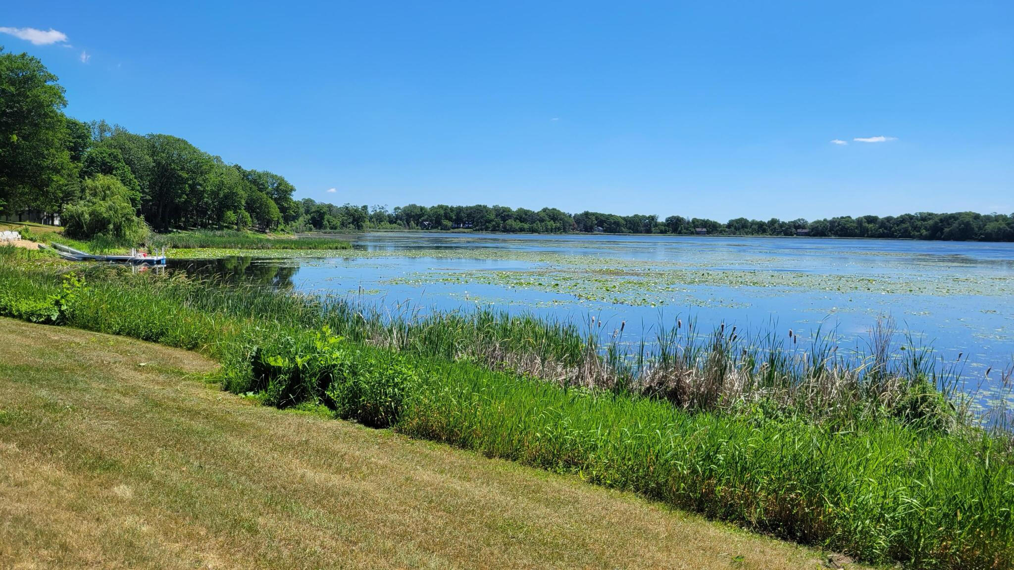 Lake Views