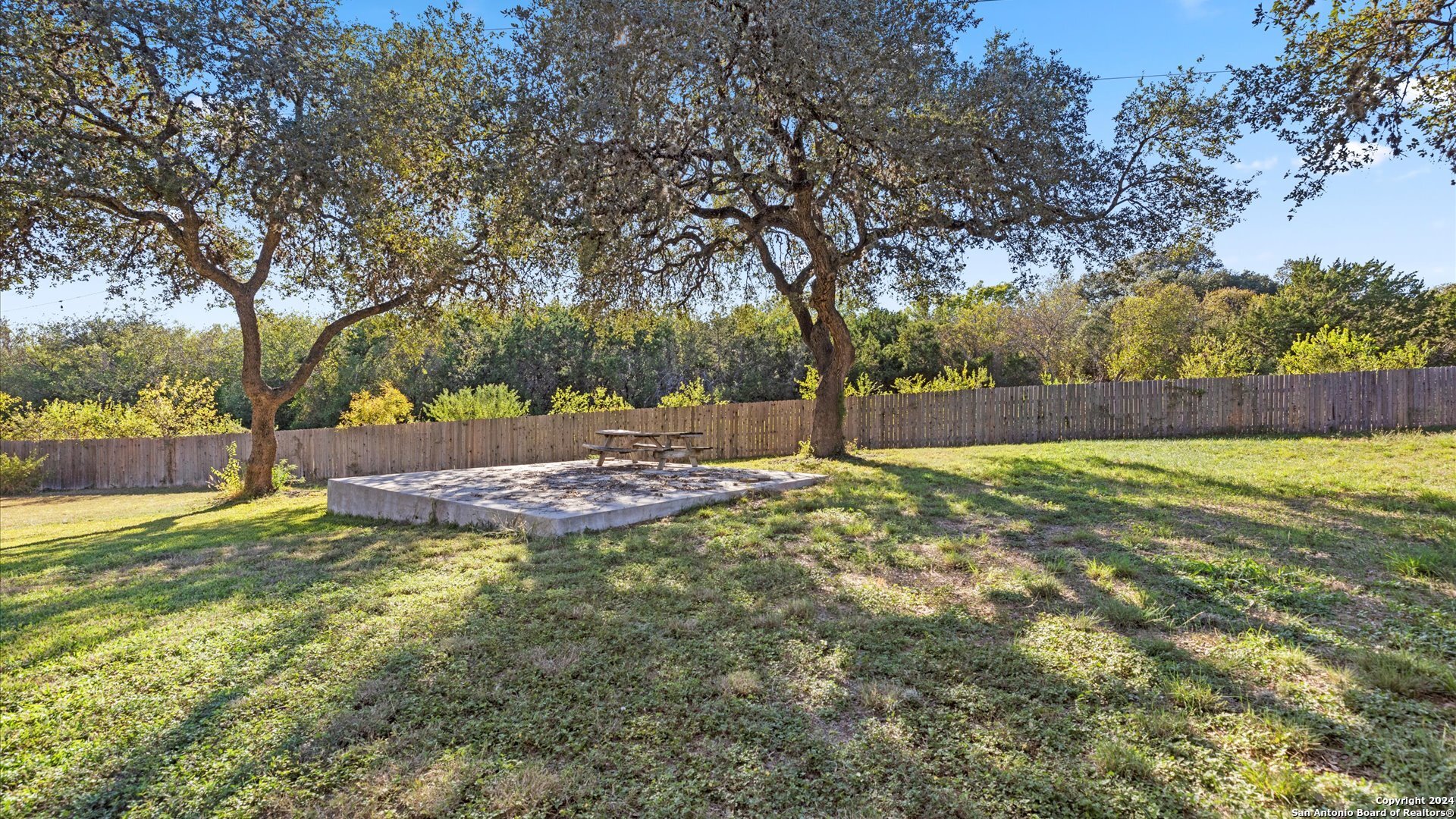 a view of backyard with tree