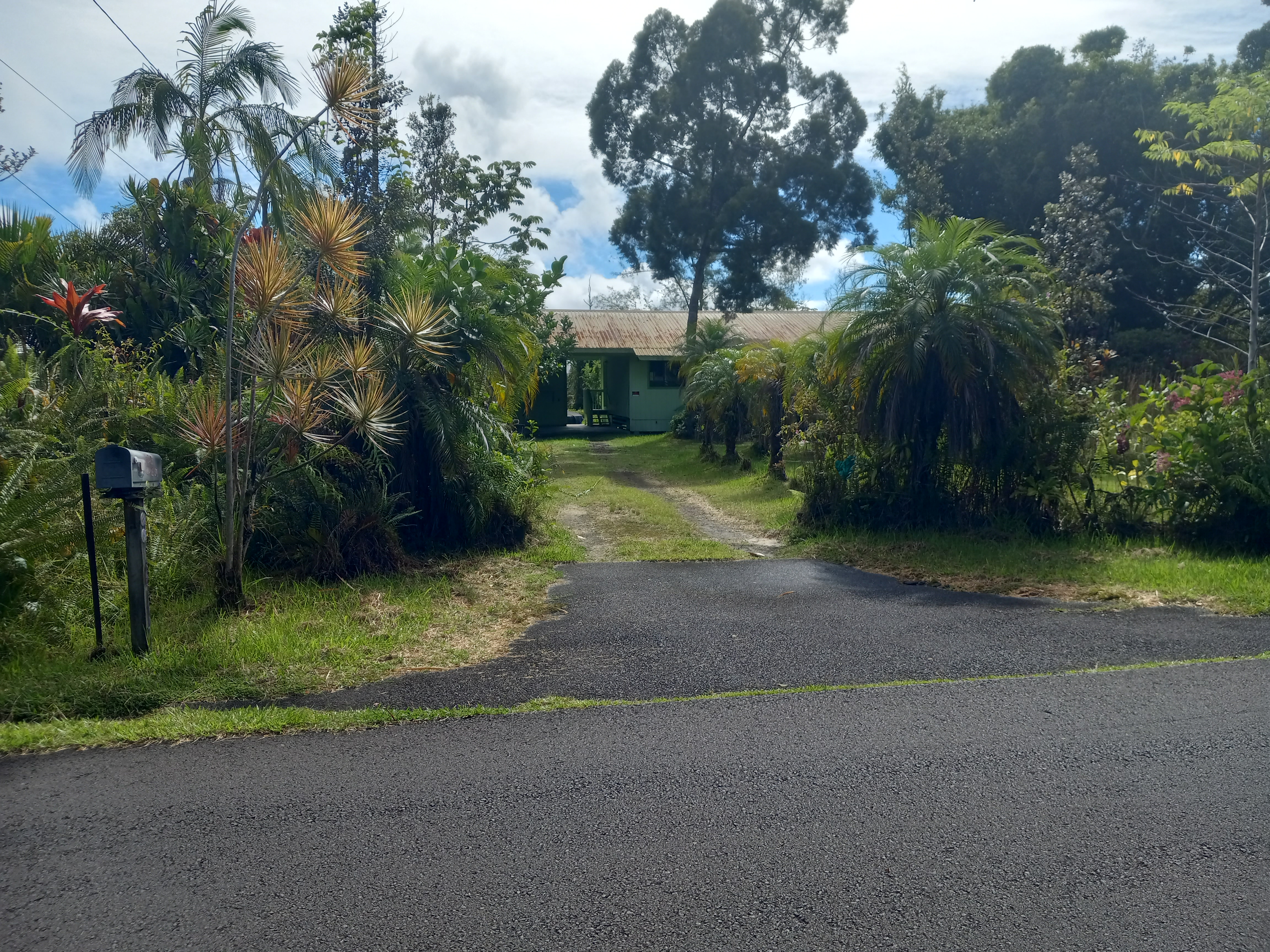 a view of a yard with plants and trees