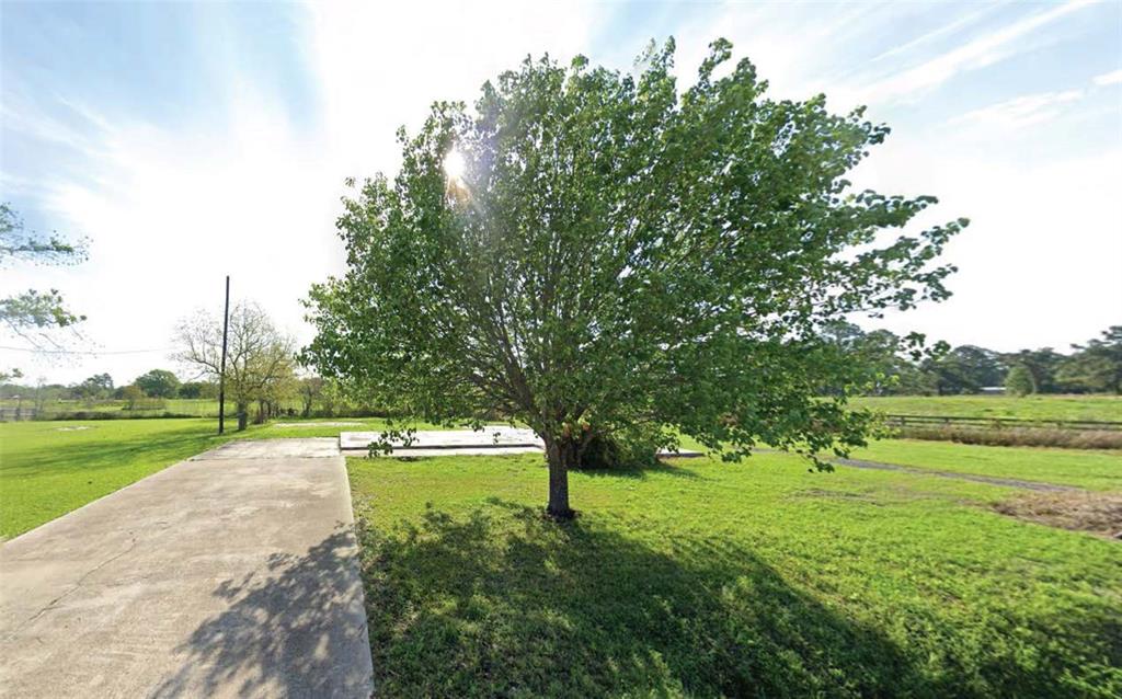 a view of a park with large trees