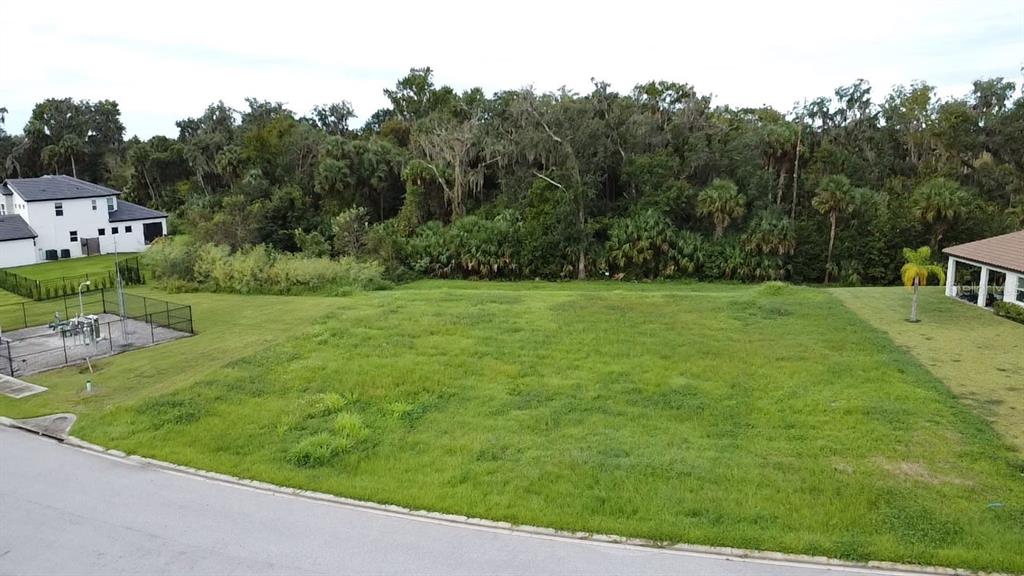 a view of a grassy area with an trees