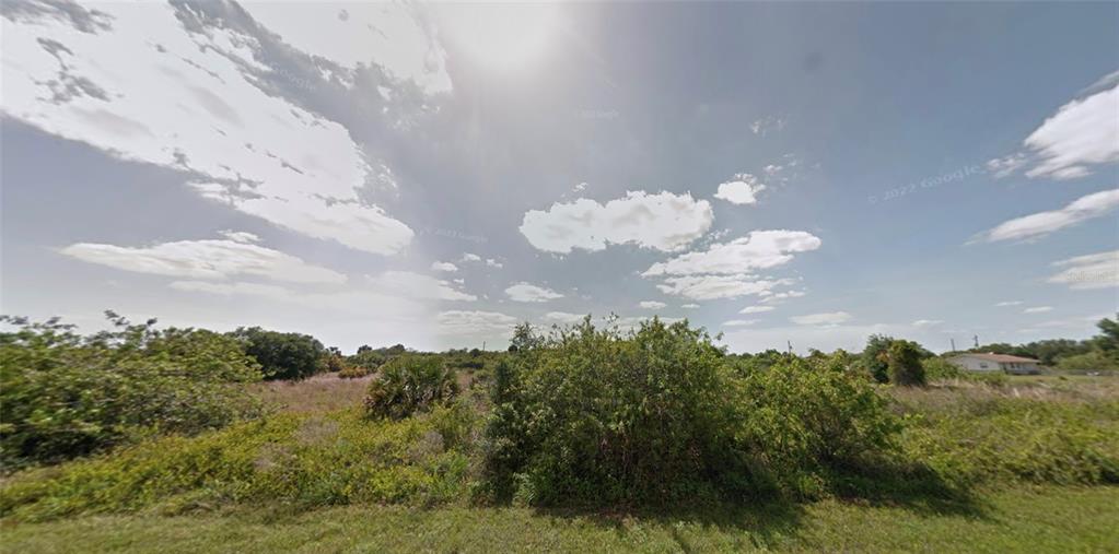 a view of a bunch of trees in a field