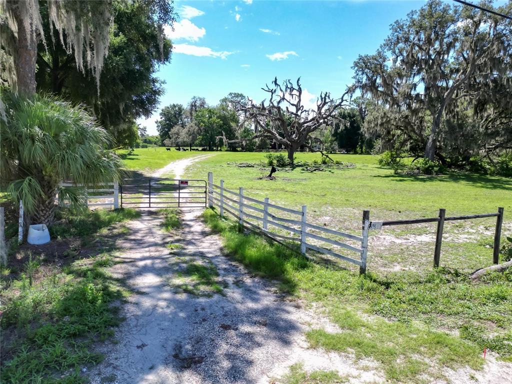 a view of a park with large trees