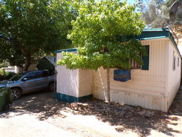 a view of a backyard with trees