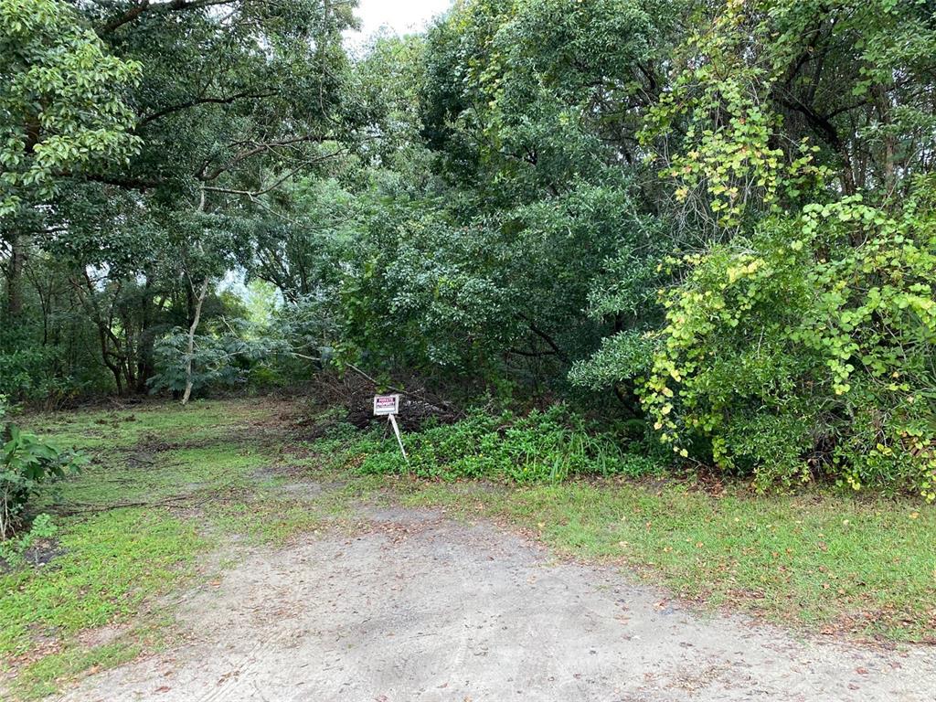 a view of backyard with green space