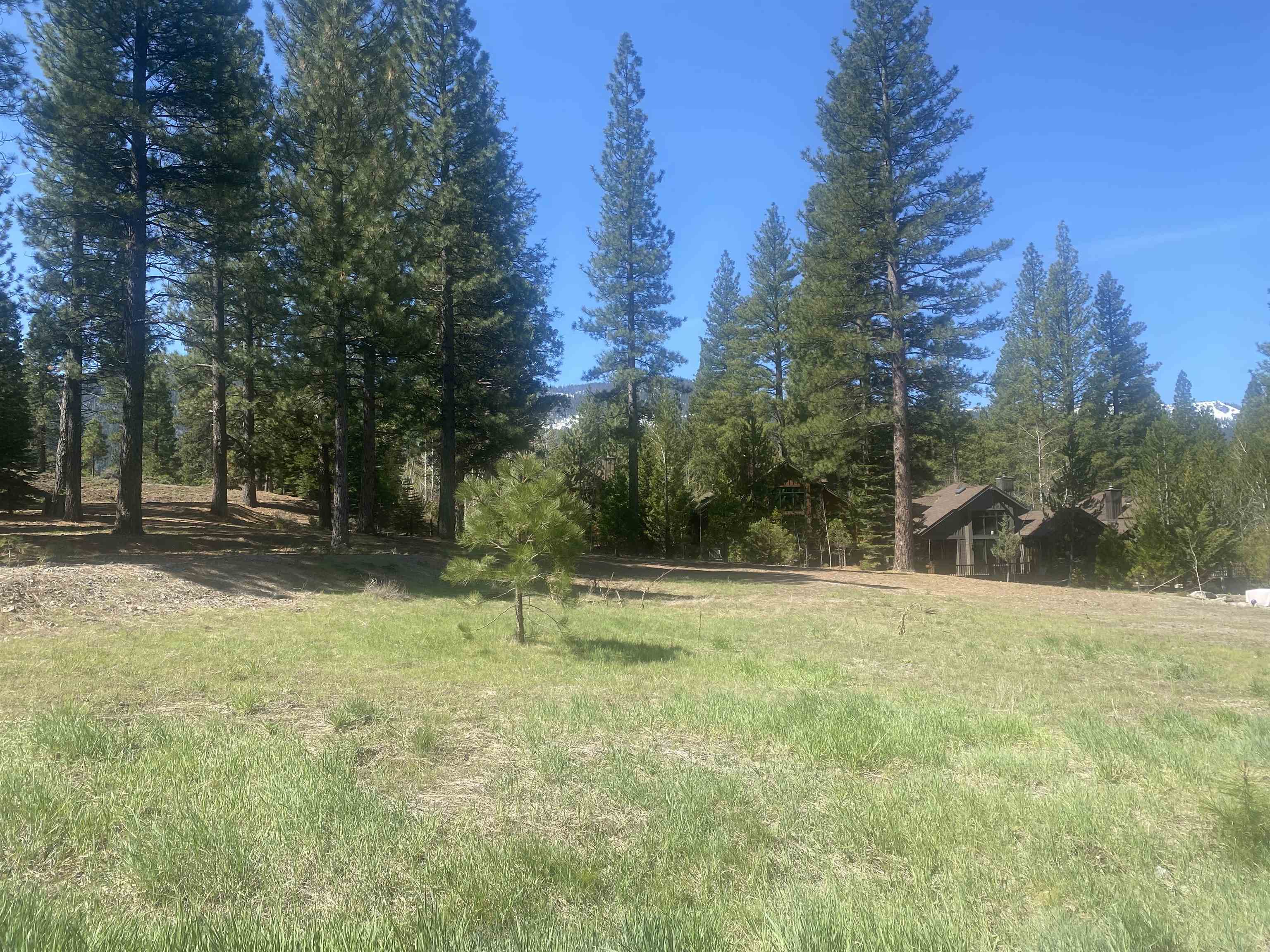 a view of outdoor space with trees all around