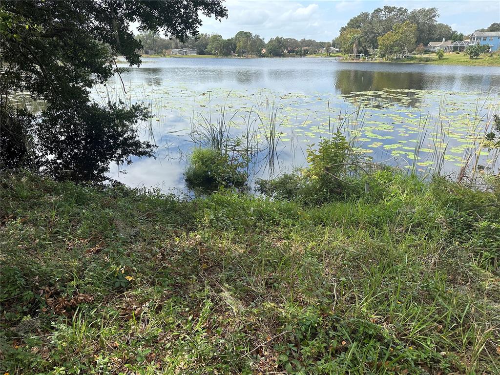 a body of water with a tree in the background