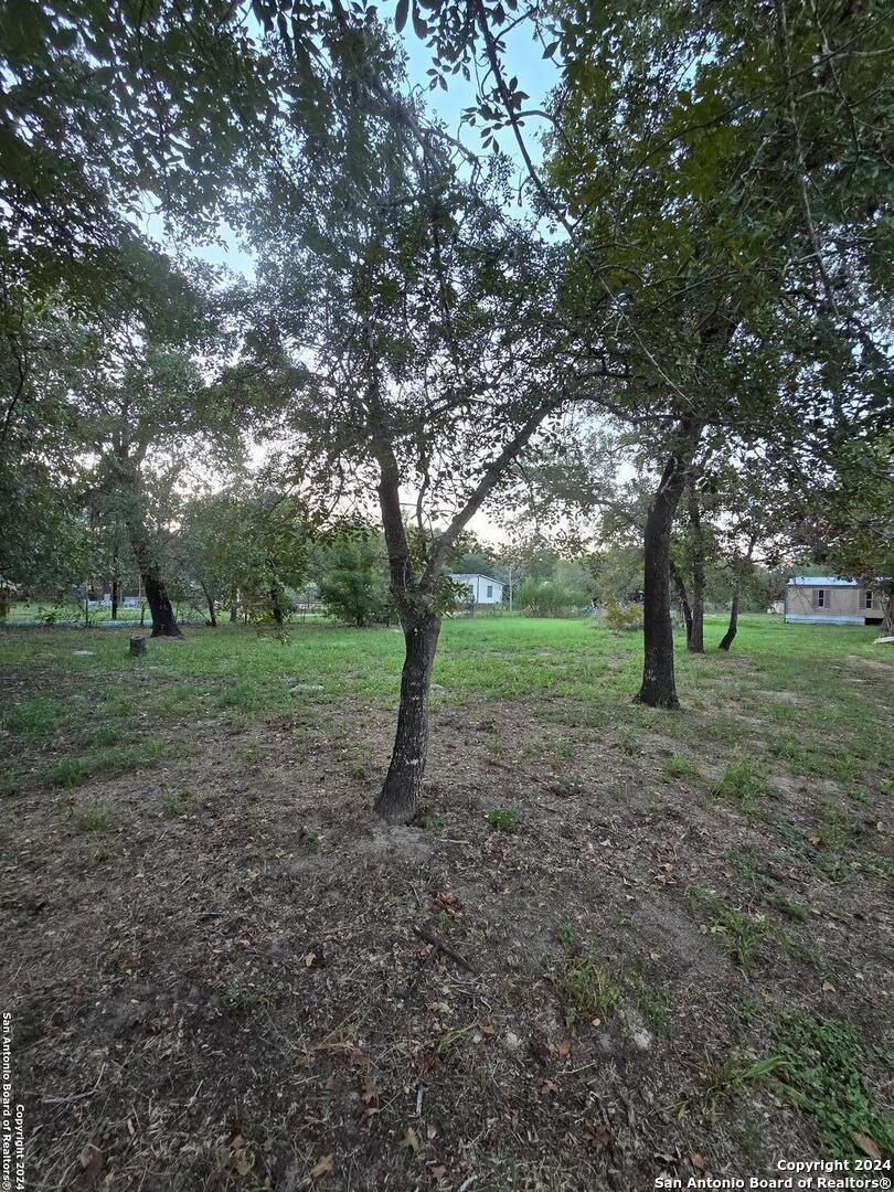 a view of outdoor space with trees