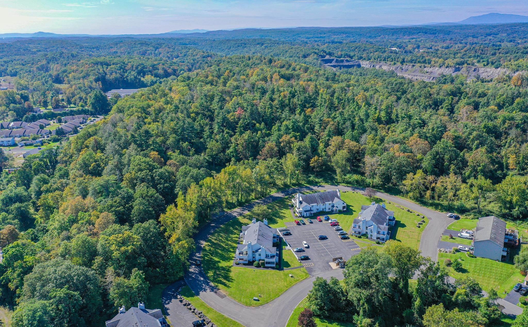 an aerial view of lake and trees