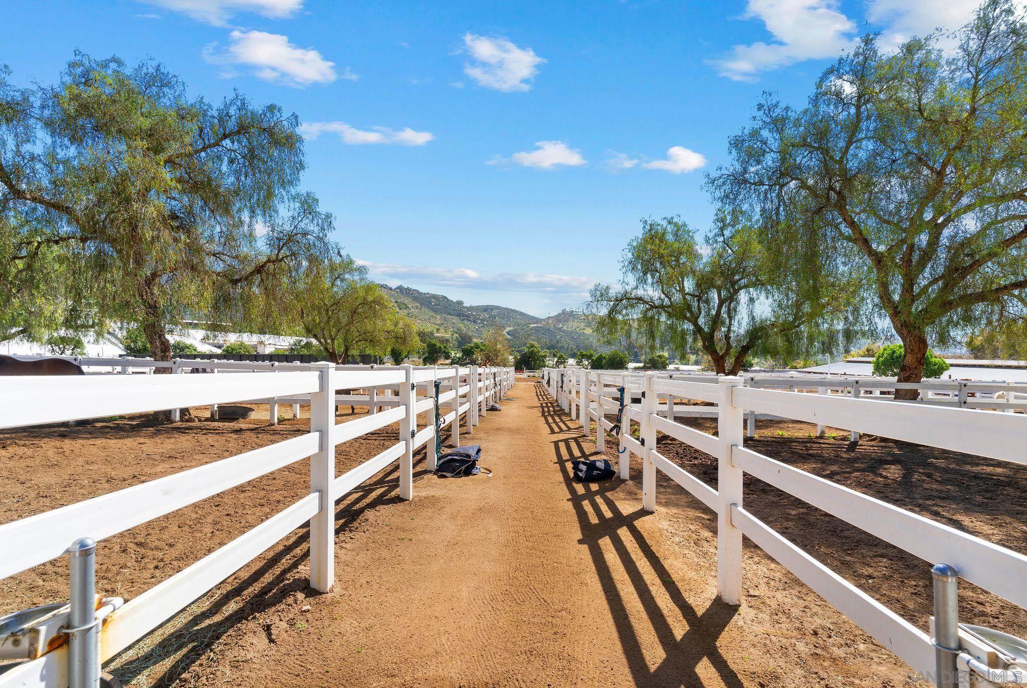 a view of a yard with trees