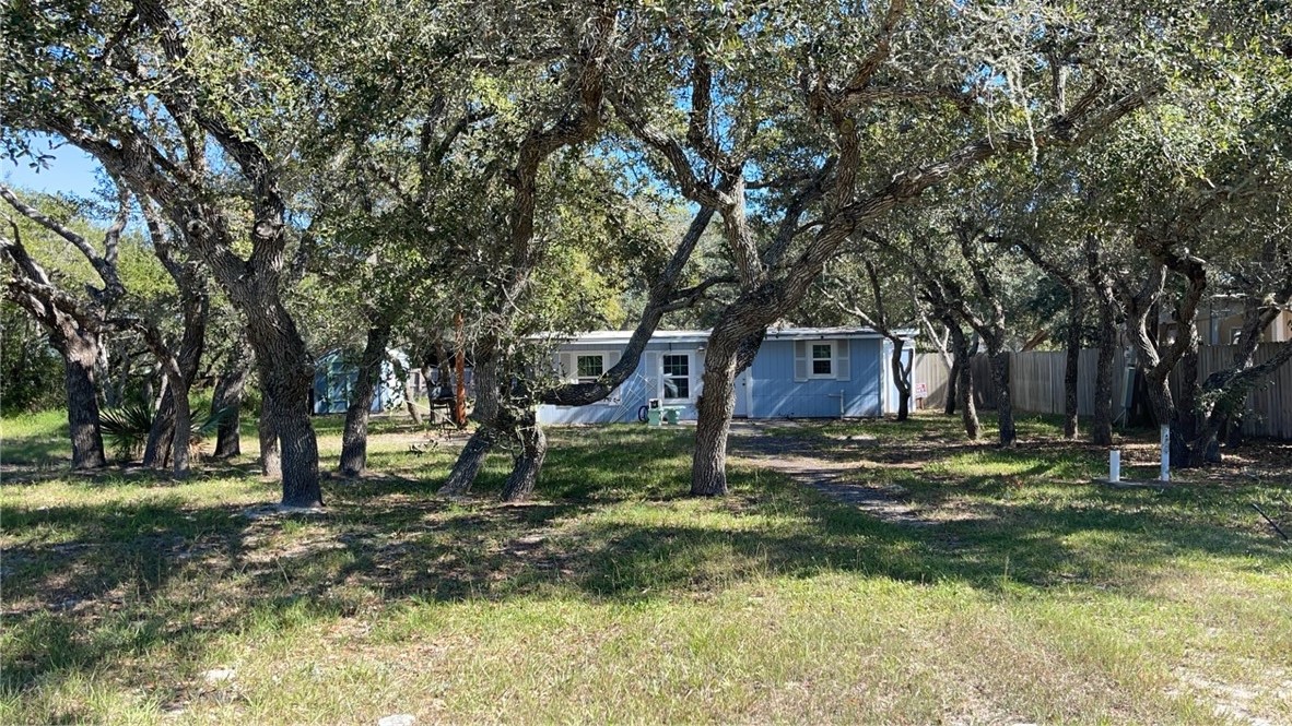 a view of a trees in a yard