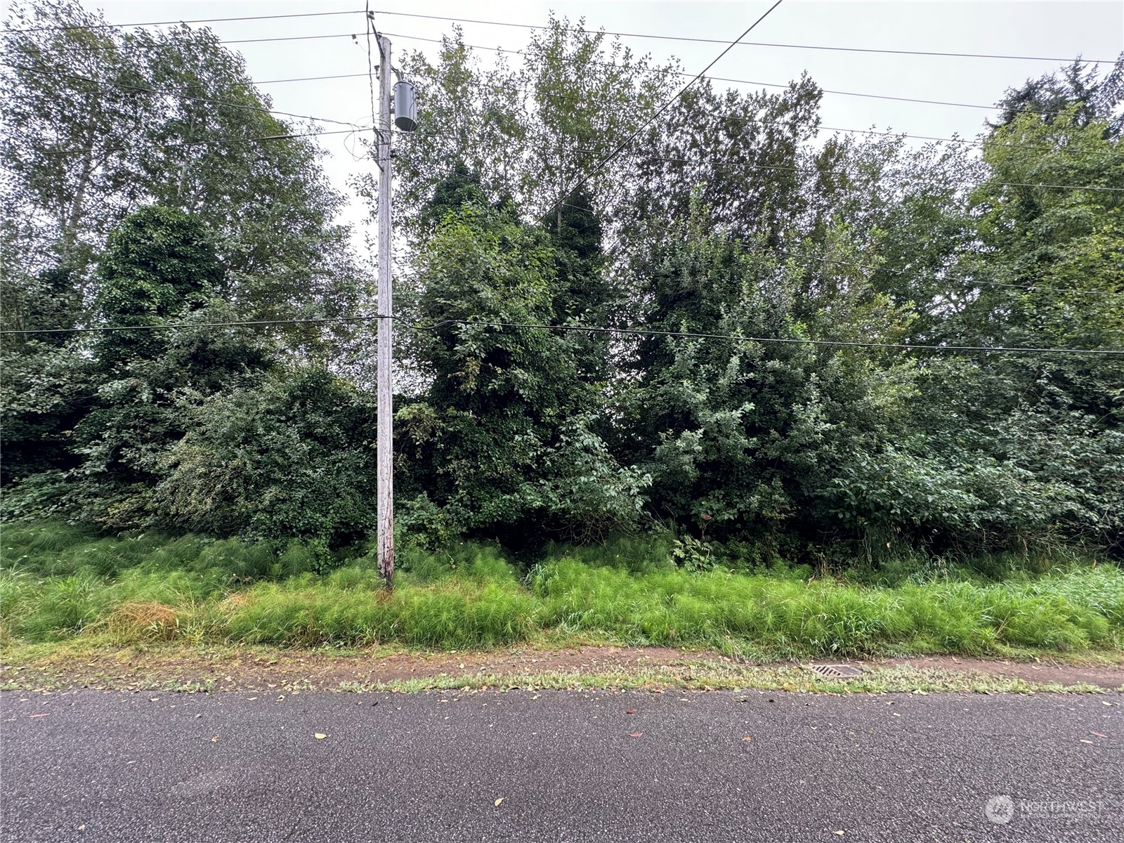 a view of a road with a trees in the background