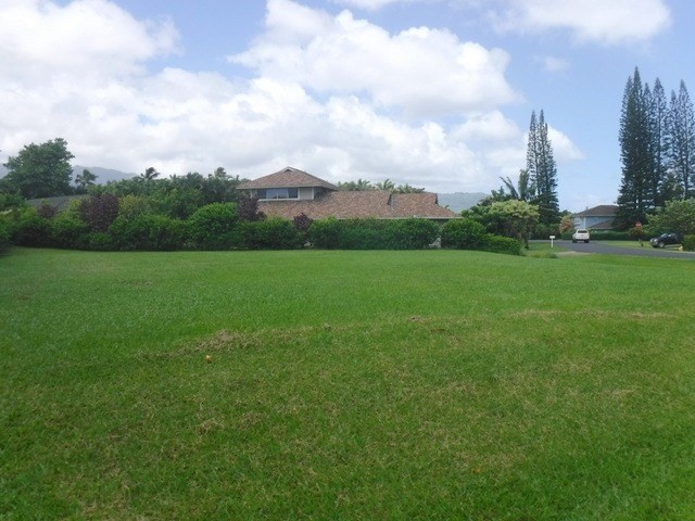 a view of field with trees in the background