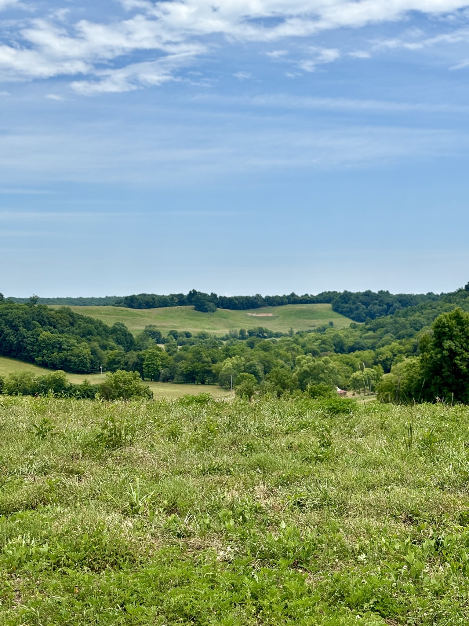 a view of a field with an ocean