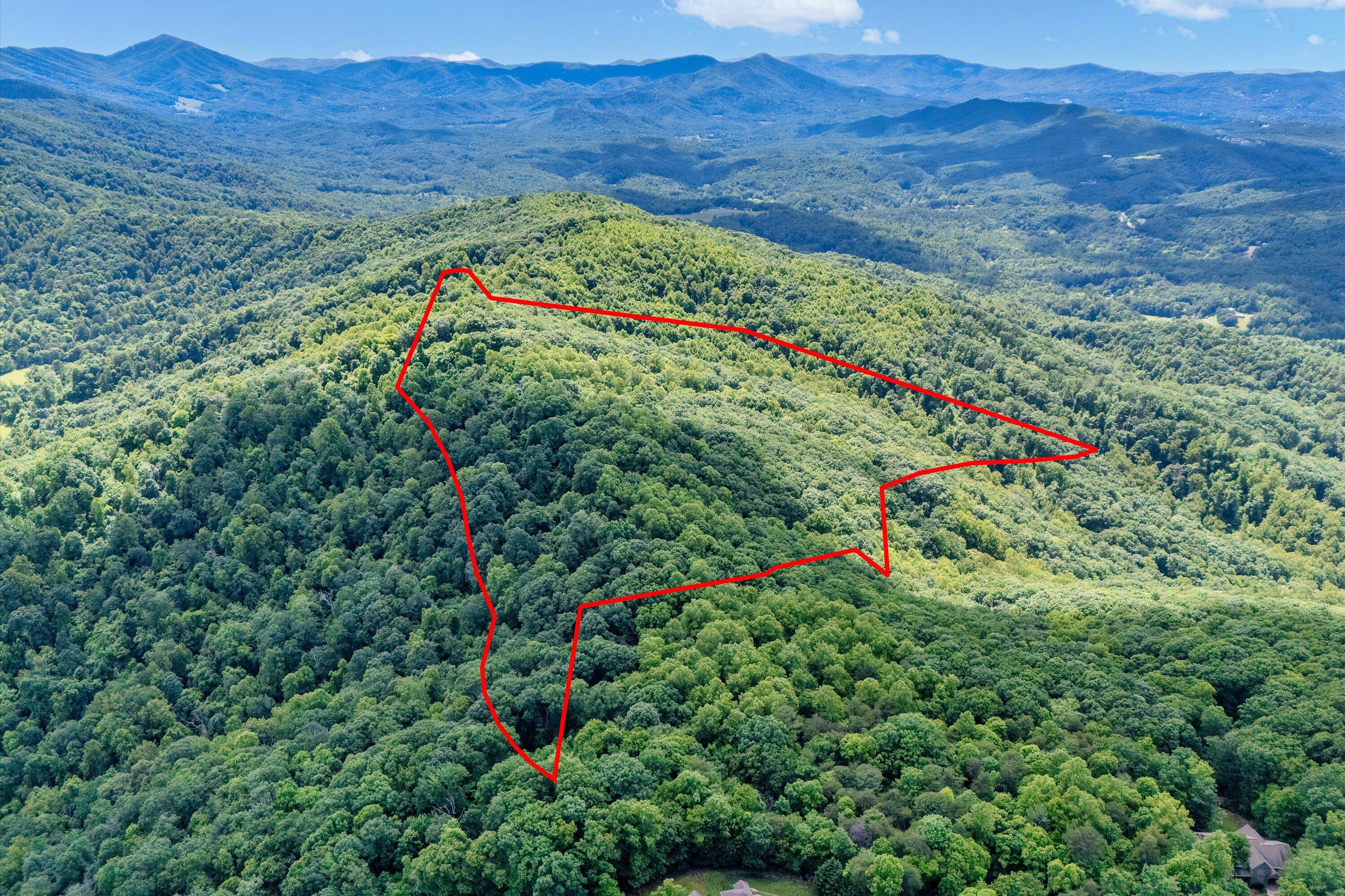 a view of a lush green mountain