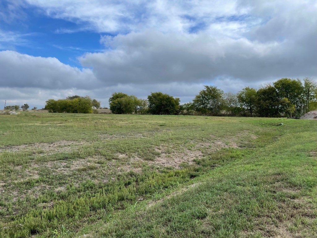 a view of a field with trees in the background