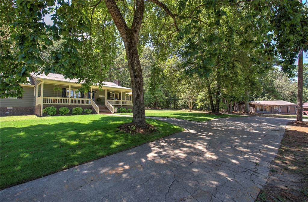 a view of a yard with a large tree