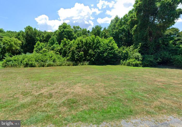 a view of green field with trees in the background