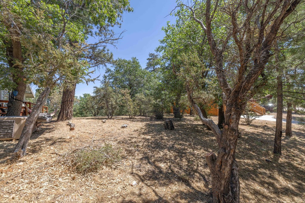 a view of a tree in the middle of a yard