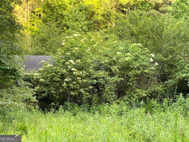 a view of a house with a tree