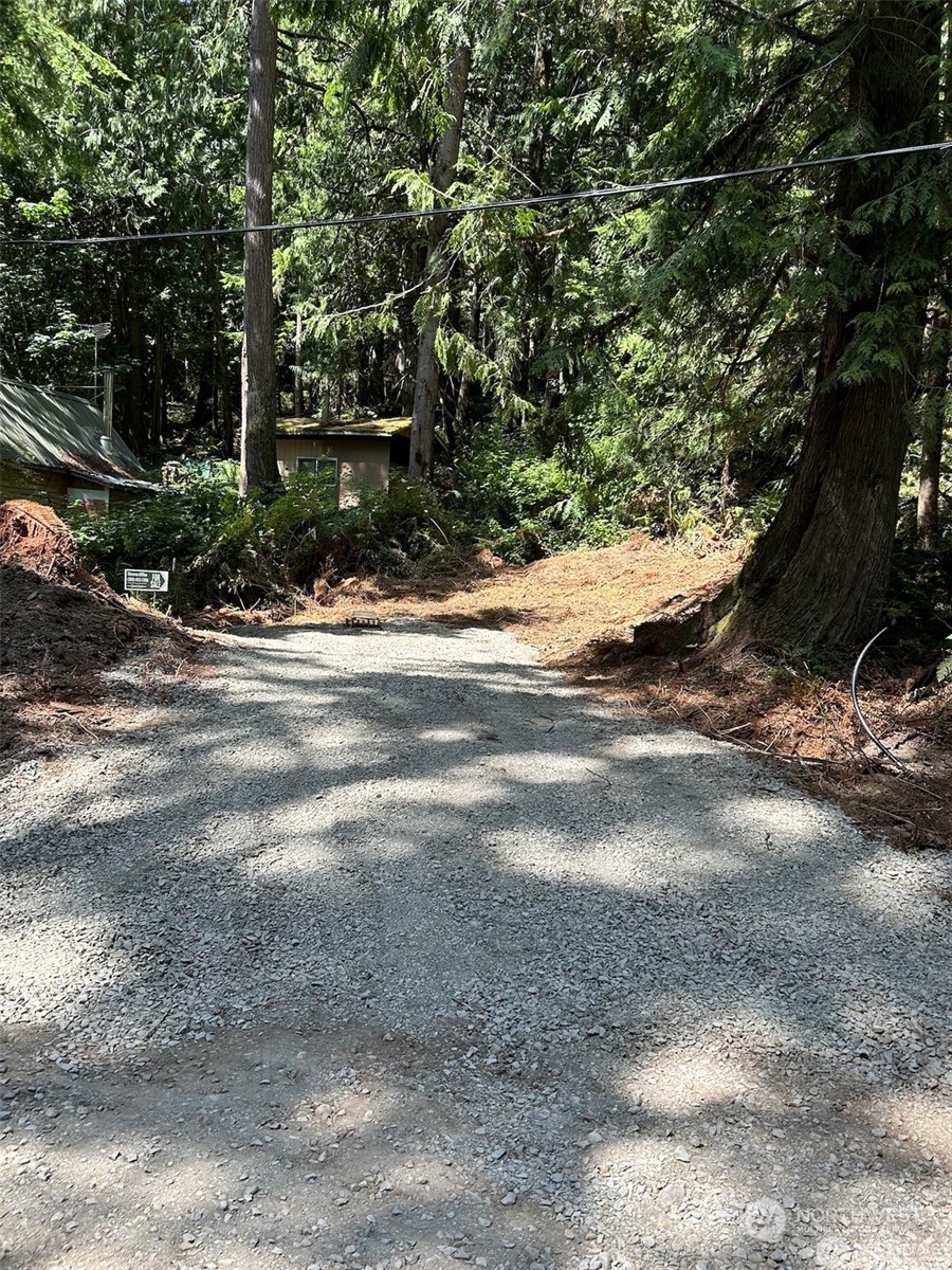 a view of a yard with a tree