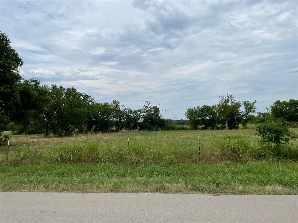 a view of a grassy field