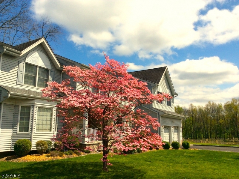 front view of house with a yard