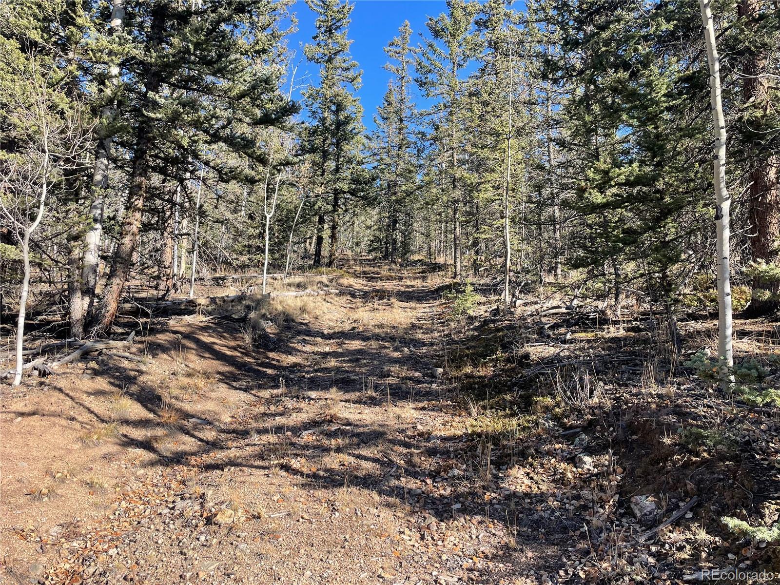 a view of outdoor space with lots of trees