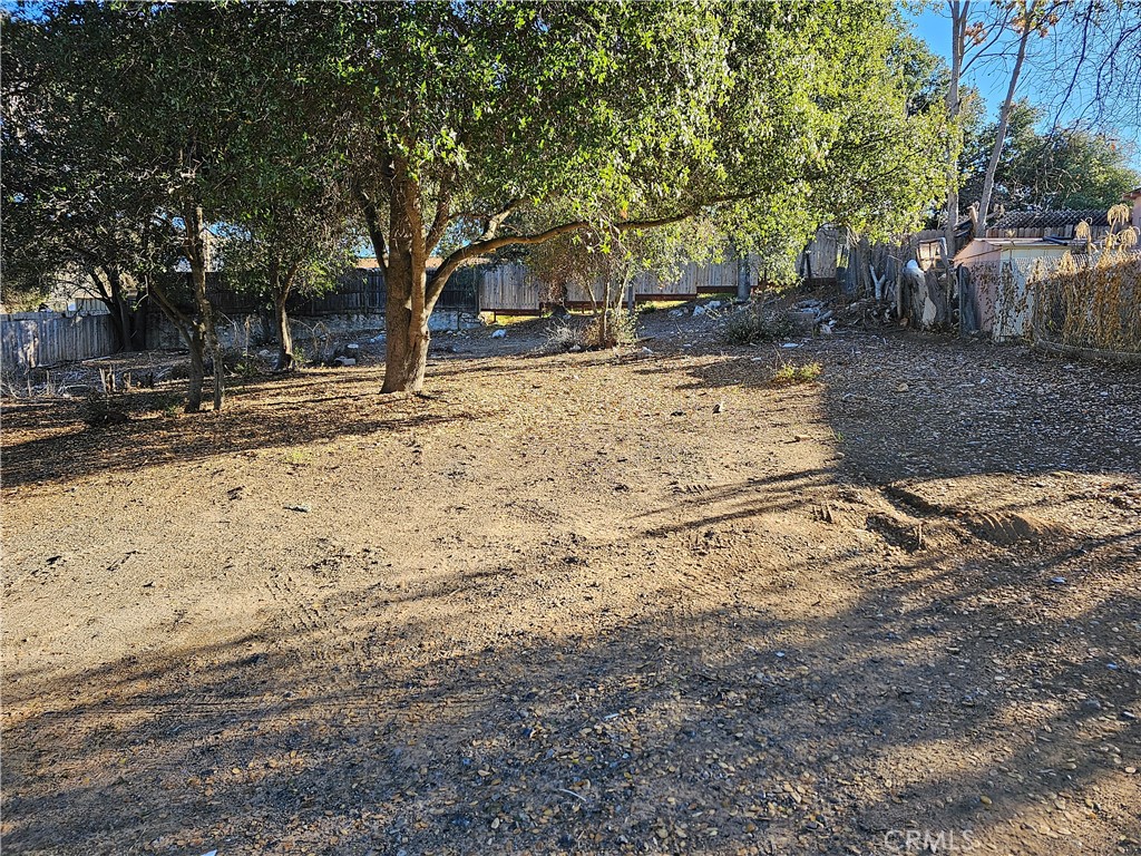 a view of a yard with a tree