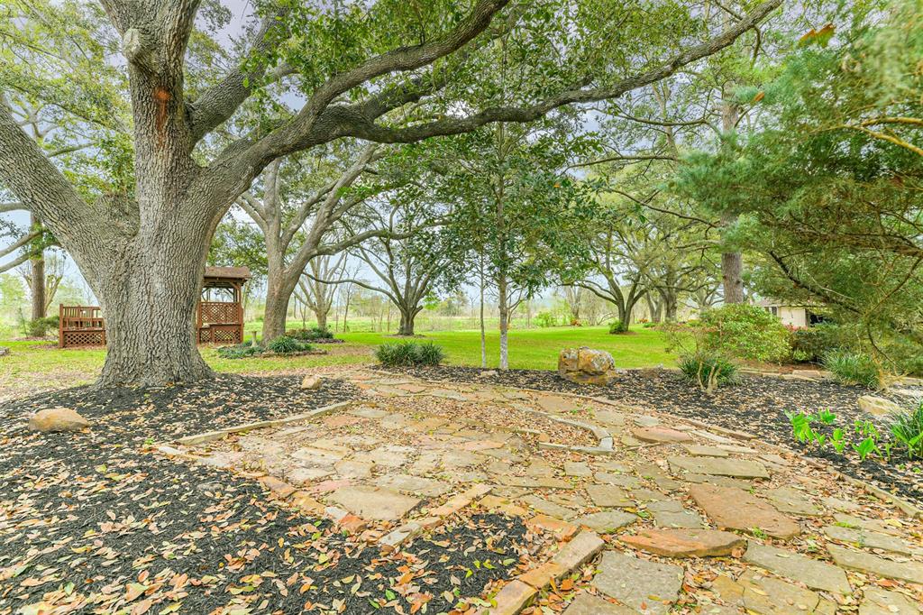 a view of a yard with plants and trees