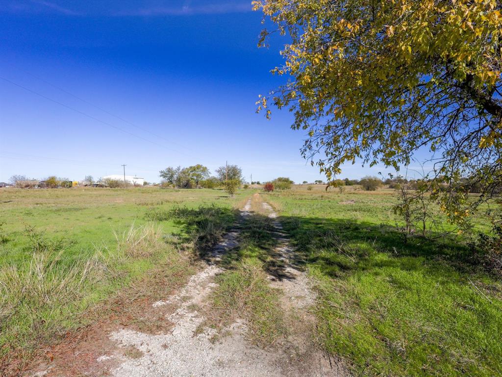 a view of a field with an trees