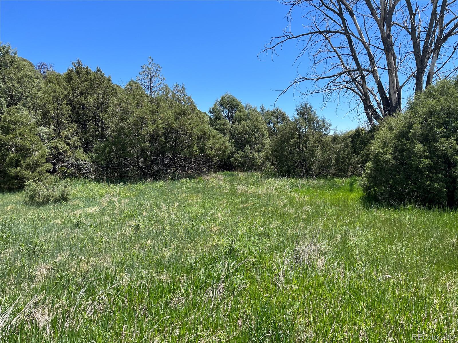 a view of backyard with green space