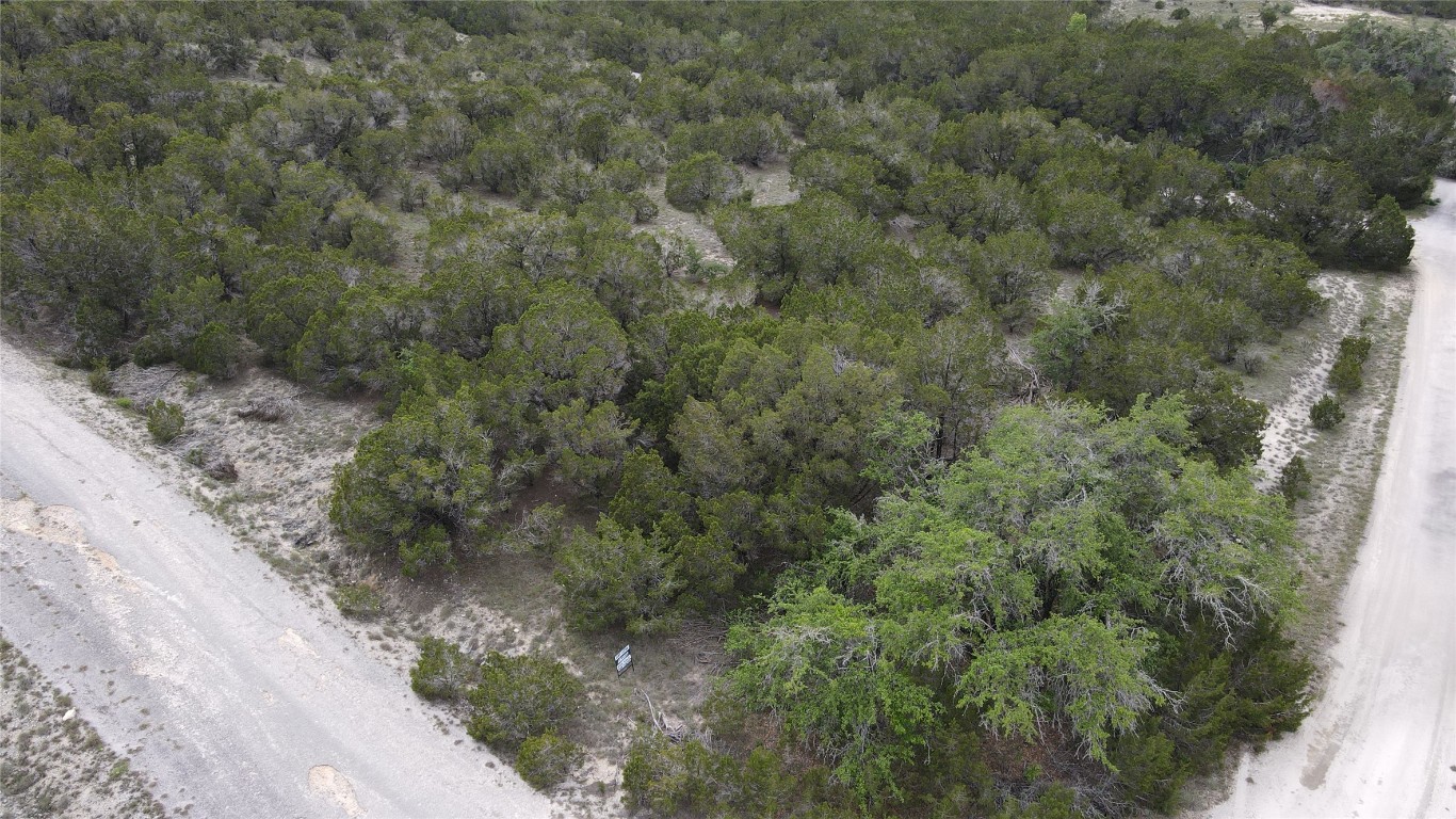 a view of a forest with a street