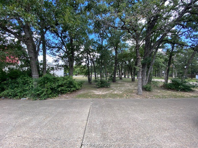 a view of outdoor space with trees