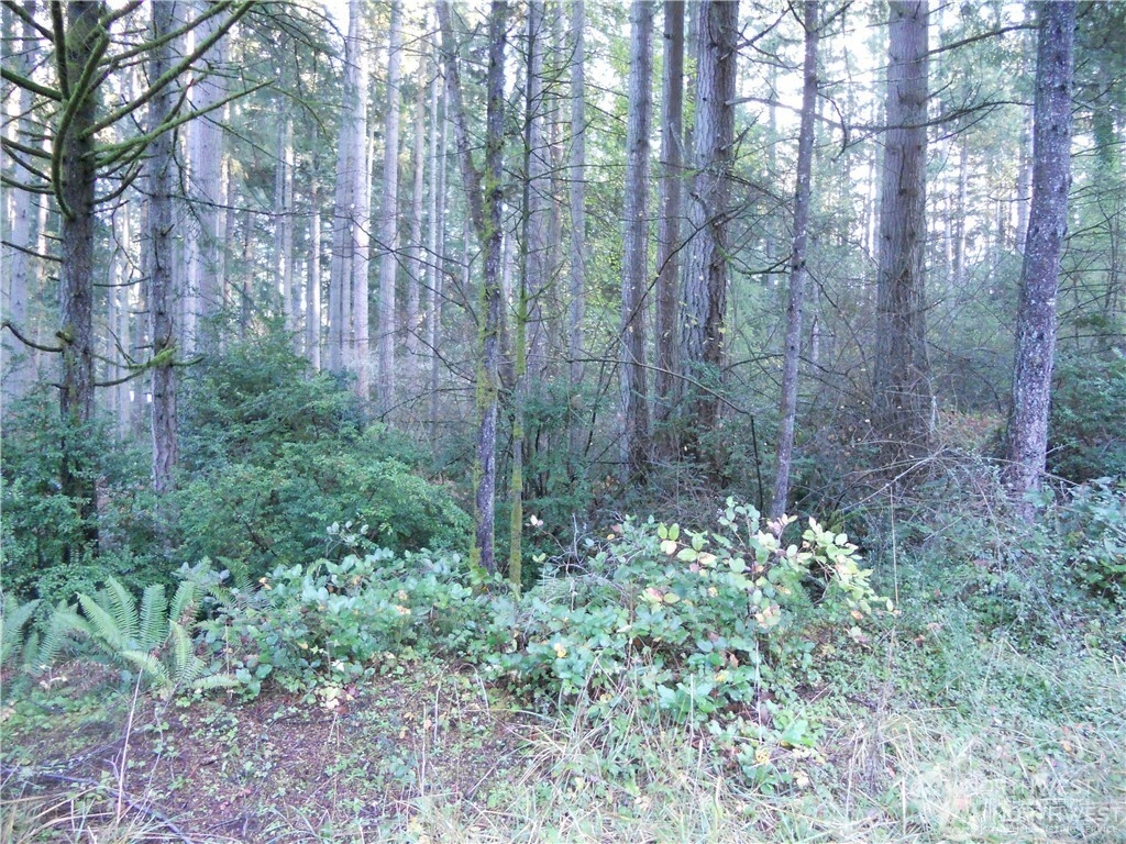 a view of a garden with a house