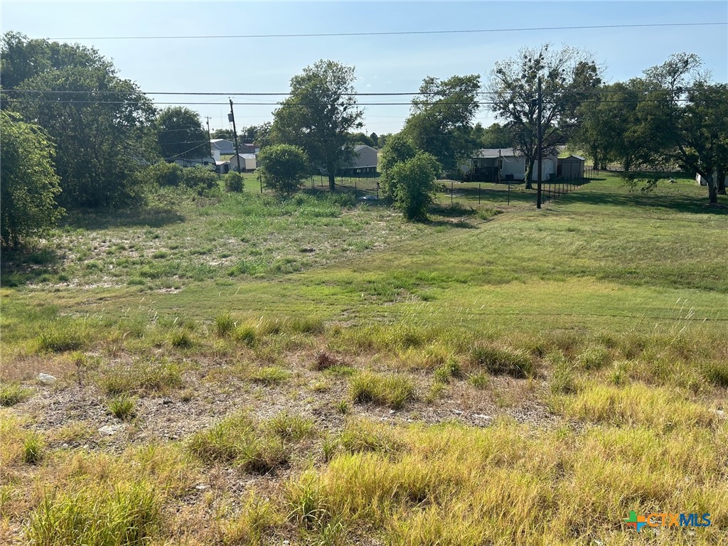 a view of a field with a tree