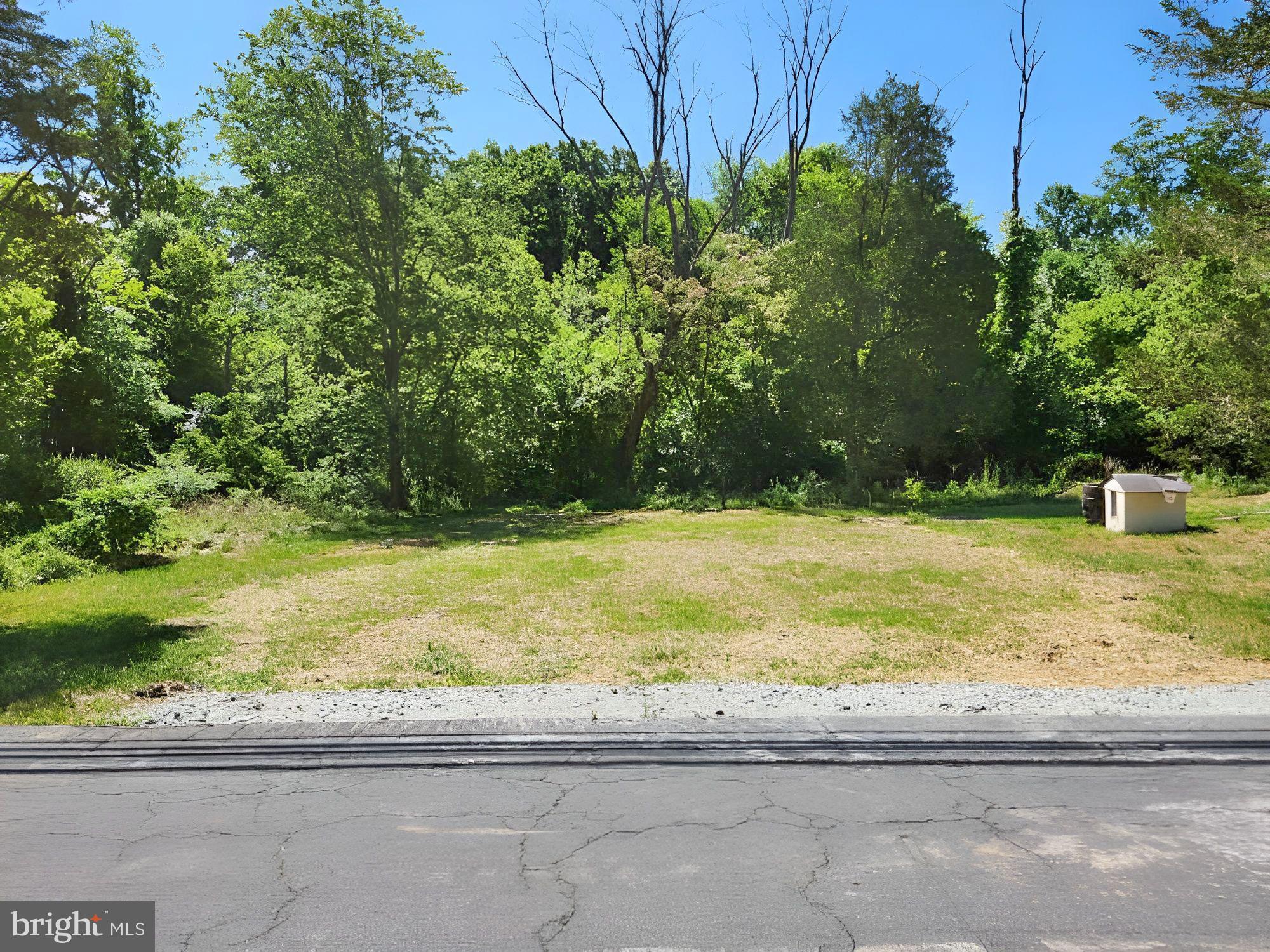 a view of a yard with a trees