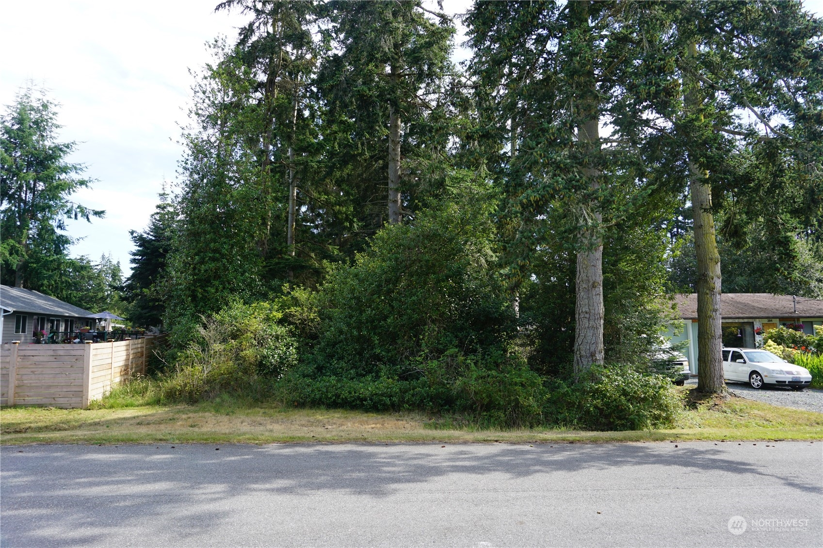 a view of road and trees in the background