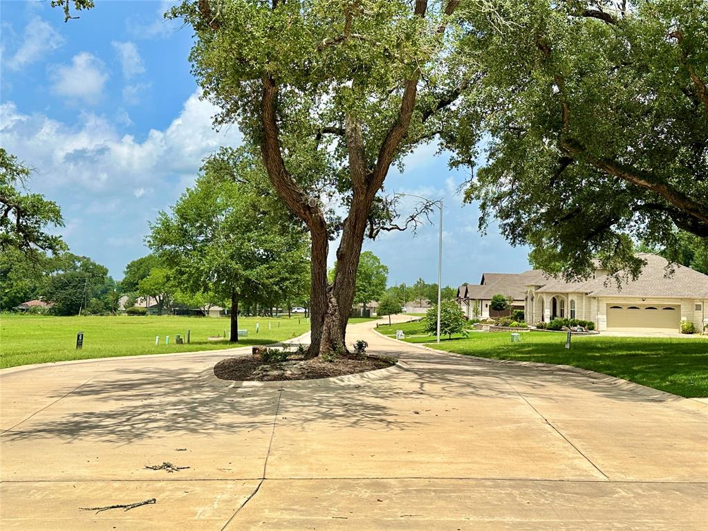 a view of a house with a big yard and palm trees