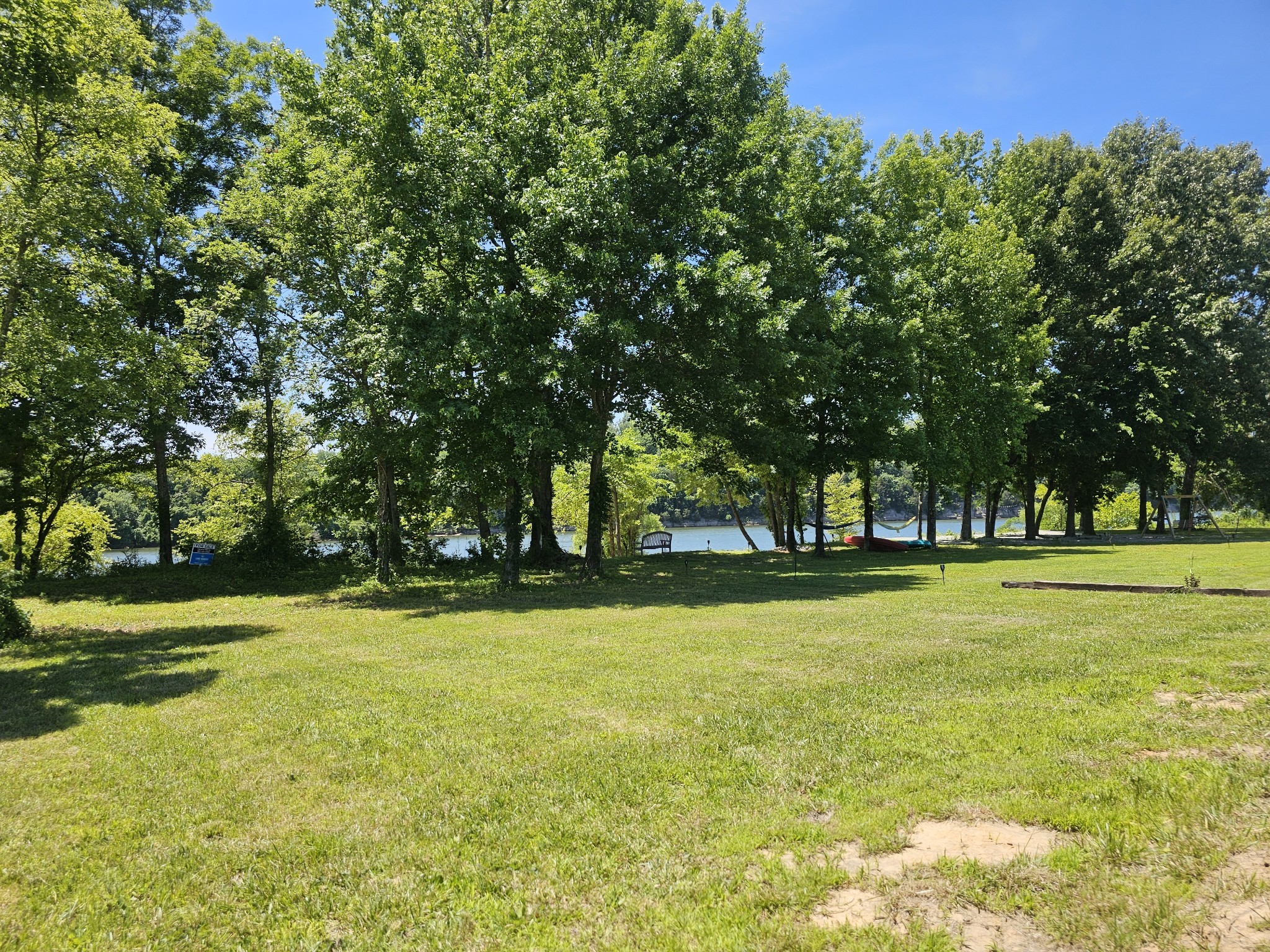 a view of a trees in a yard