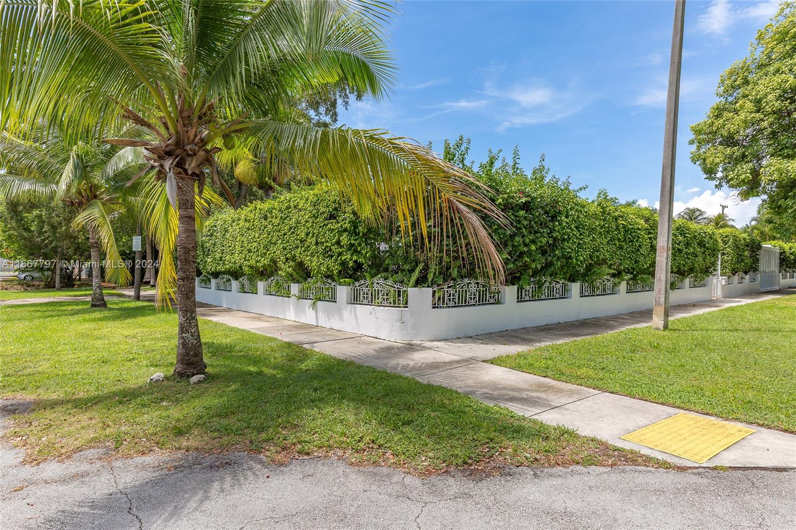 a view of a park with palm trees