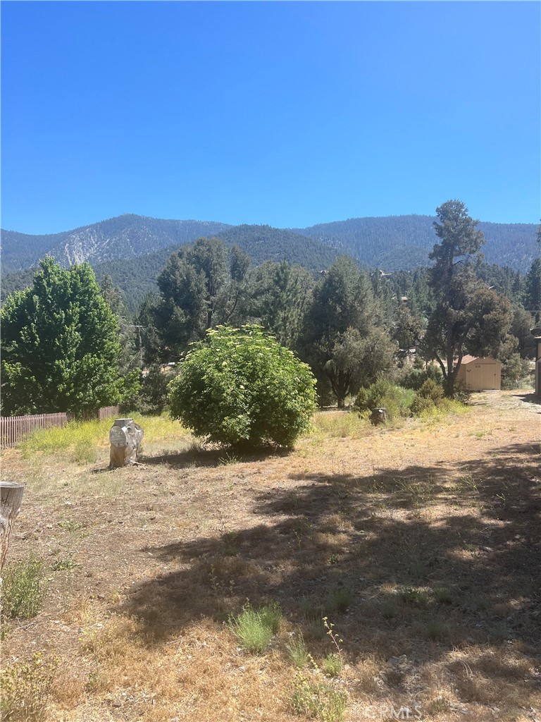 a view of a yard with a house