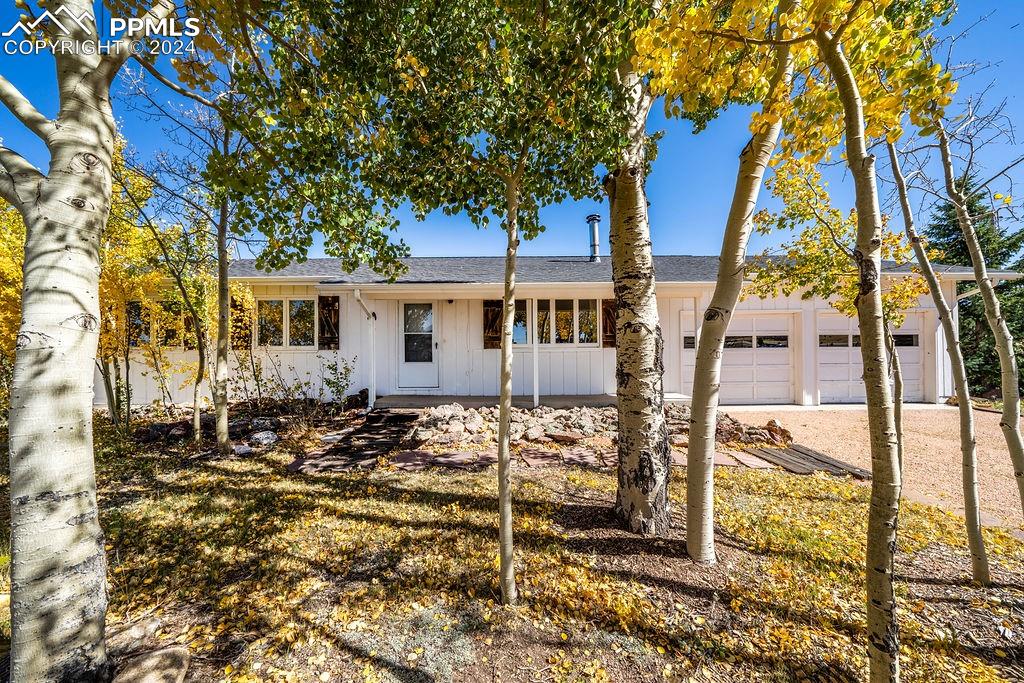 a view of a house with a tree in the yard