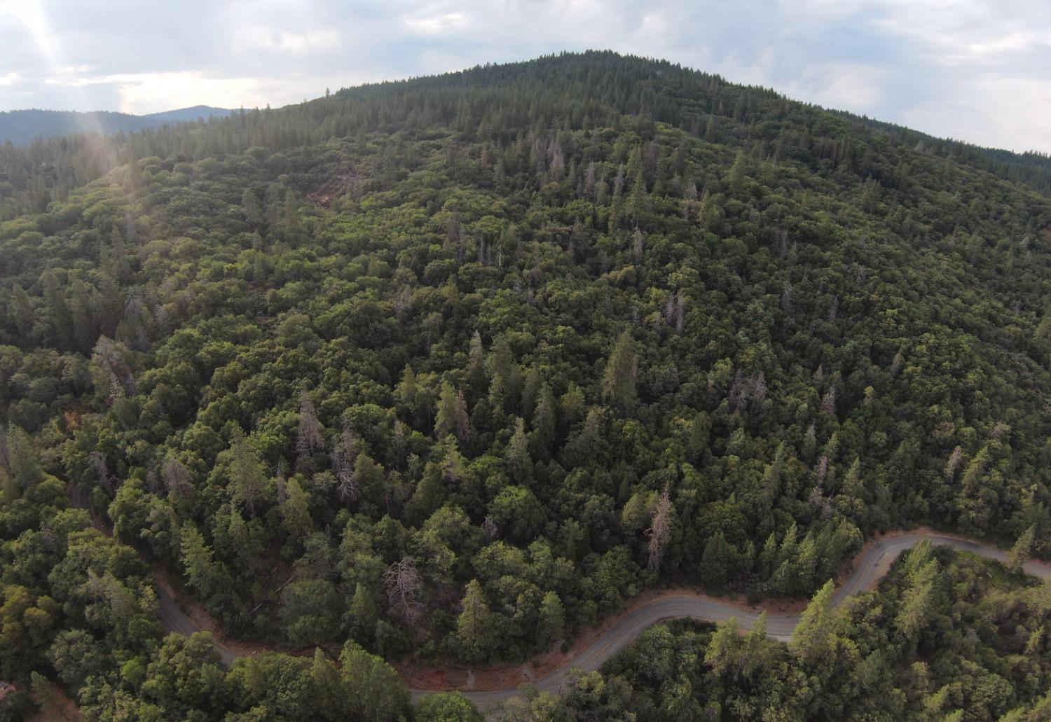 a view of a large mountain with lots of trees