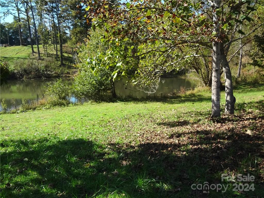 a view of a garden with a lake